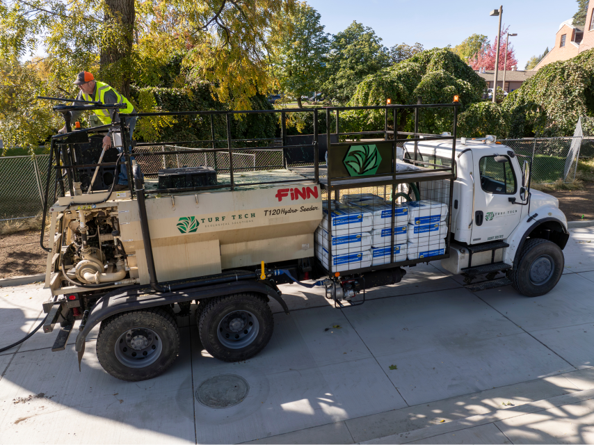 Cost-effective landscaping with hydroseeding
